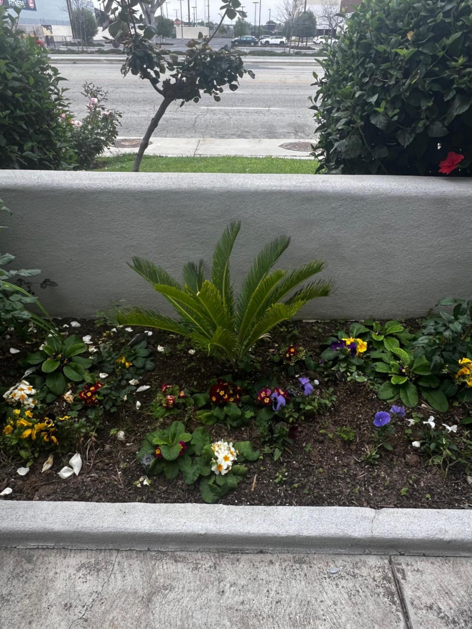 El Segundo Inn Hawthorne Kültér fotó